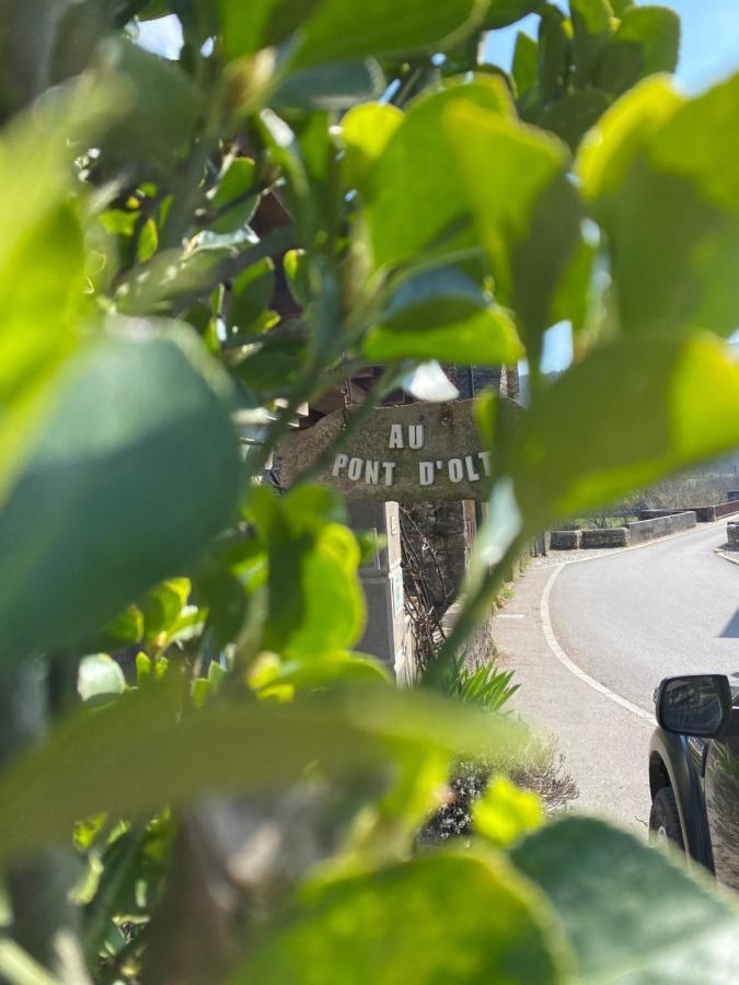 Saint-Côme-dʼOlt Au Pont D'Olt酒店 外观 照片