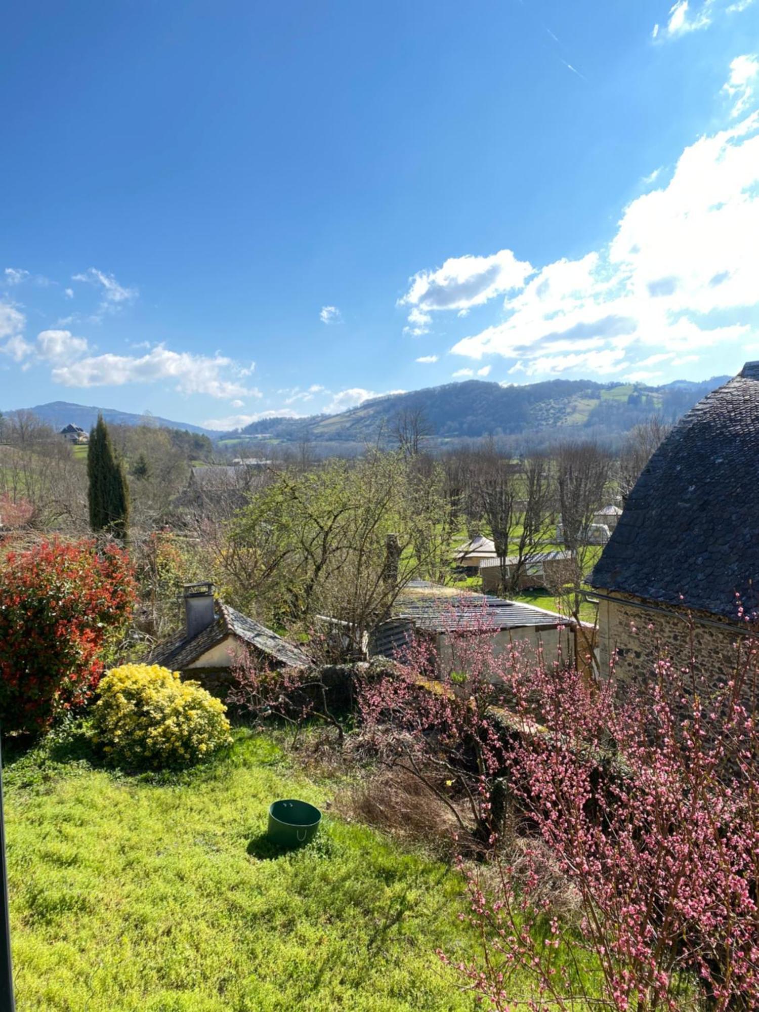 Saint-Côme-dʼOlt Au Pont D'Olt酒店 客房 照片