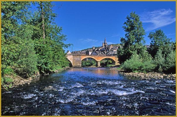 Saint-Côme-dʼOlt Au Pont D'Olt酒店 外观 照片